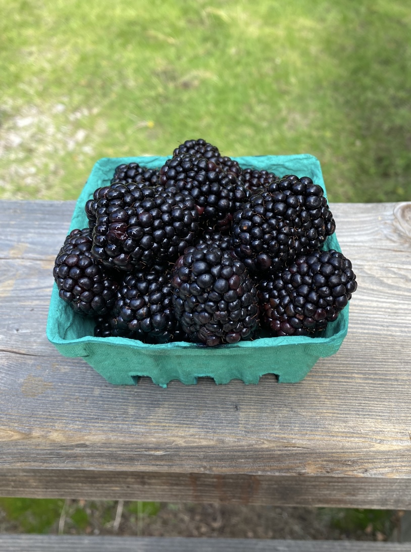 Tahoe City Farmer's Market Event