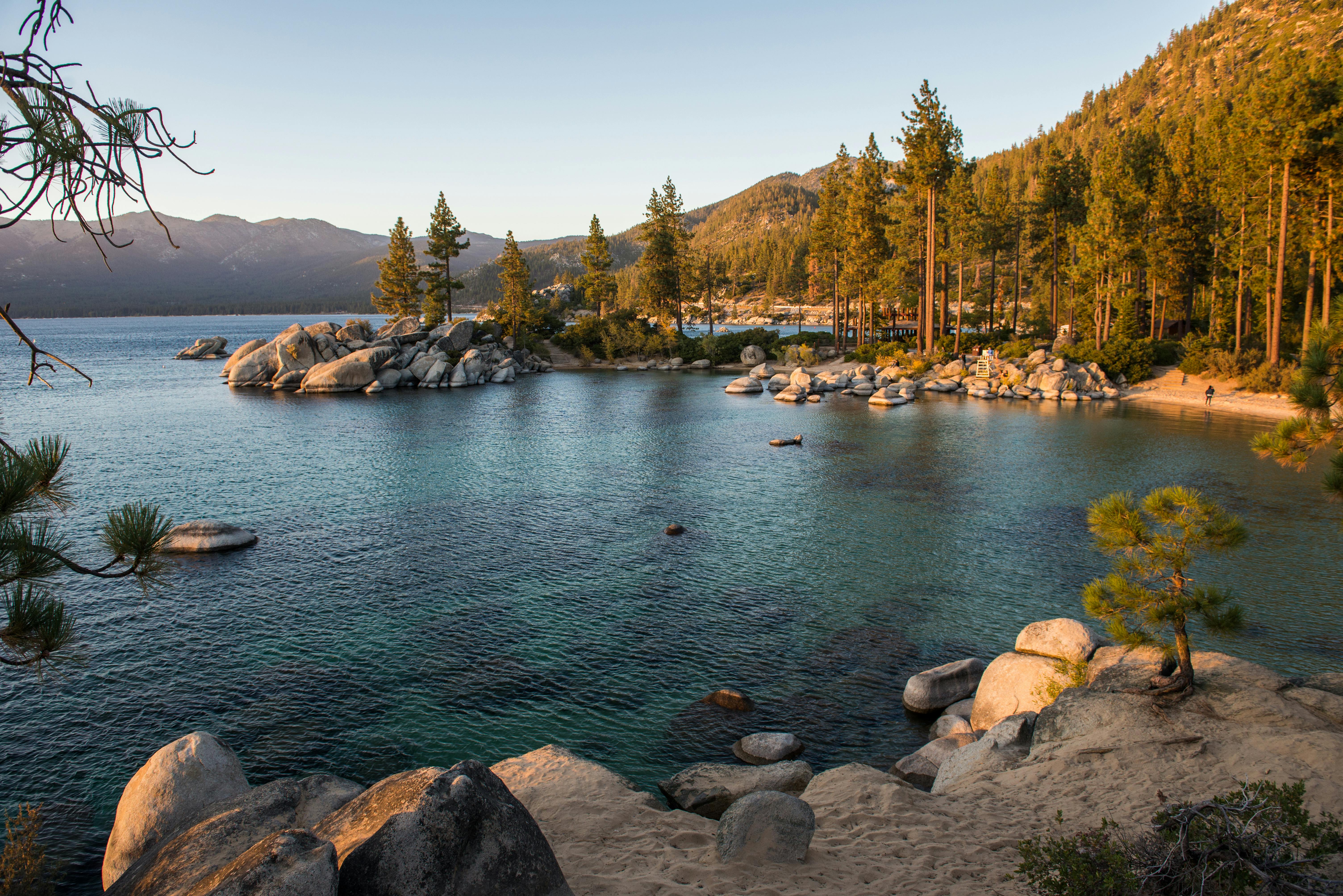 Lake Tahoe Shakespeare Festival Event