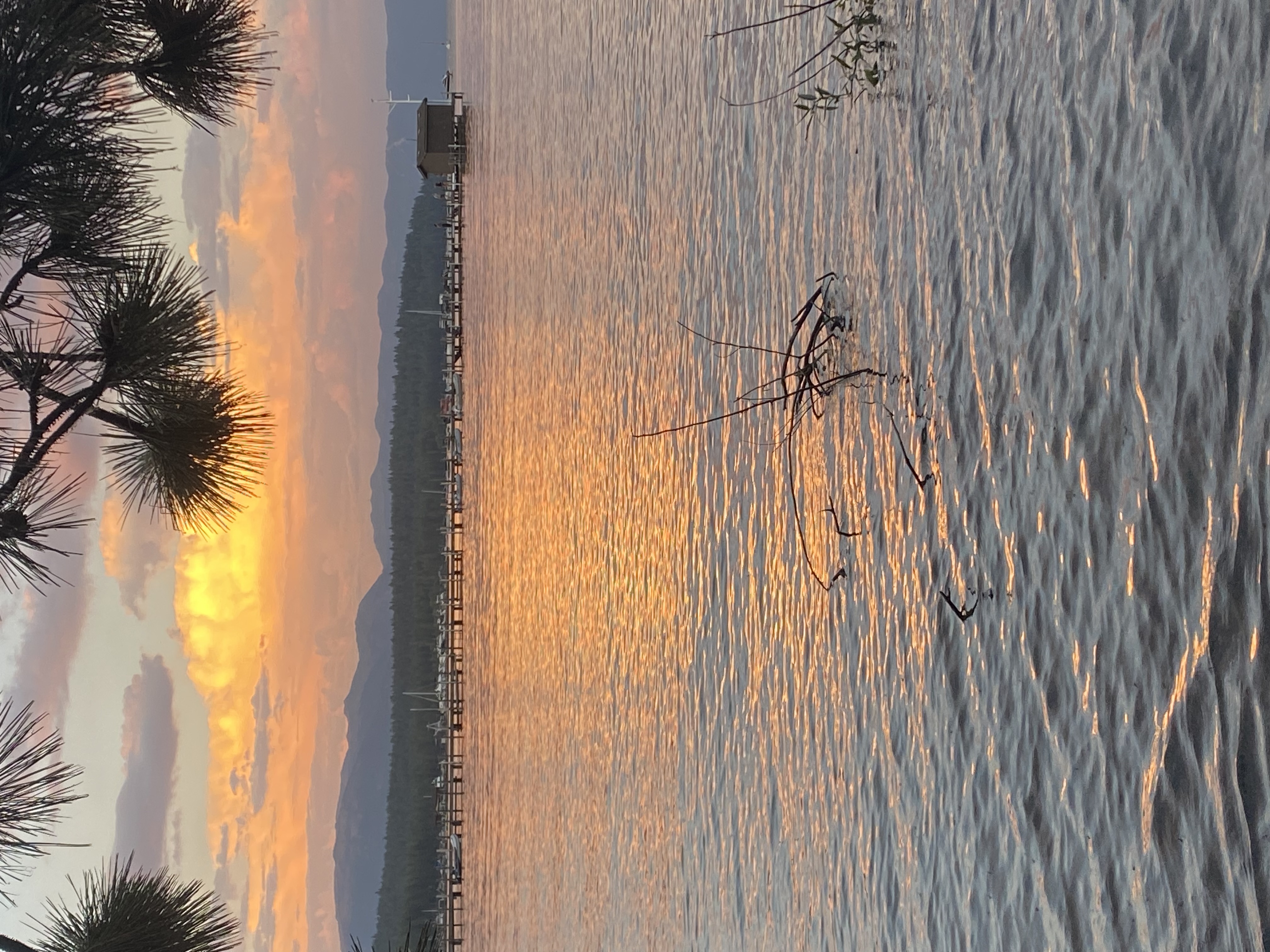 Things To Do Tahoe City Common's Beach