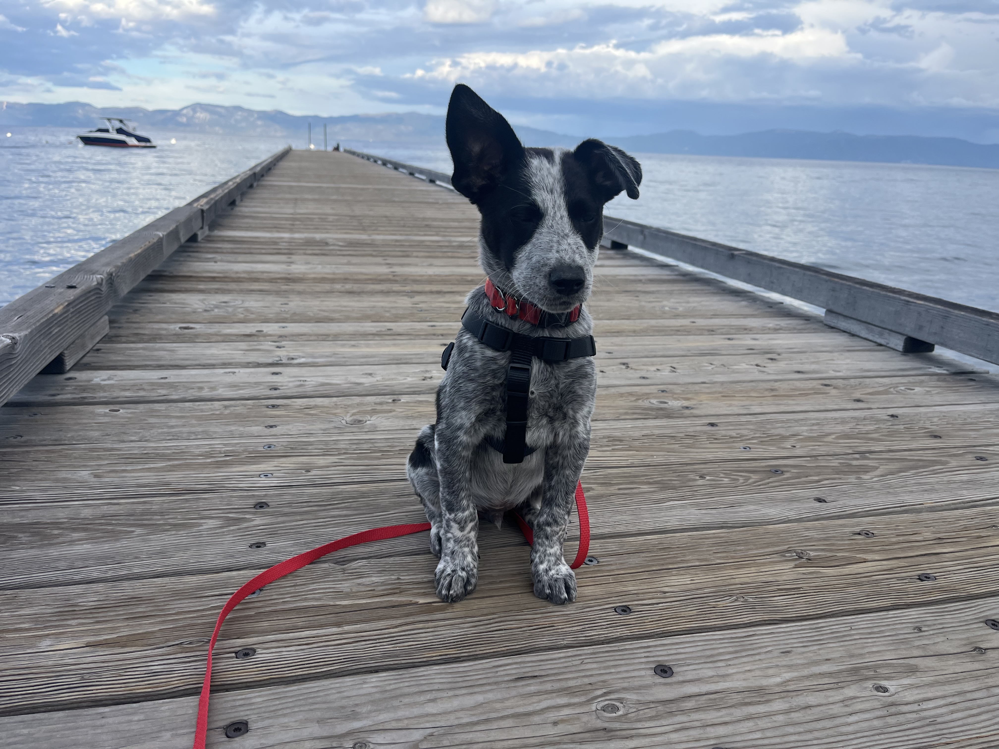 Things To Do Hurricane Bay