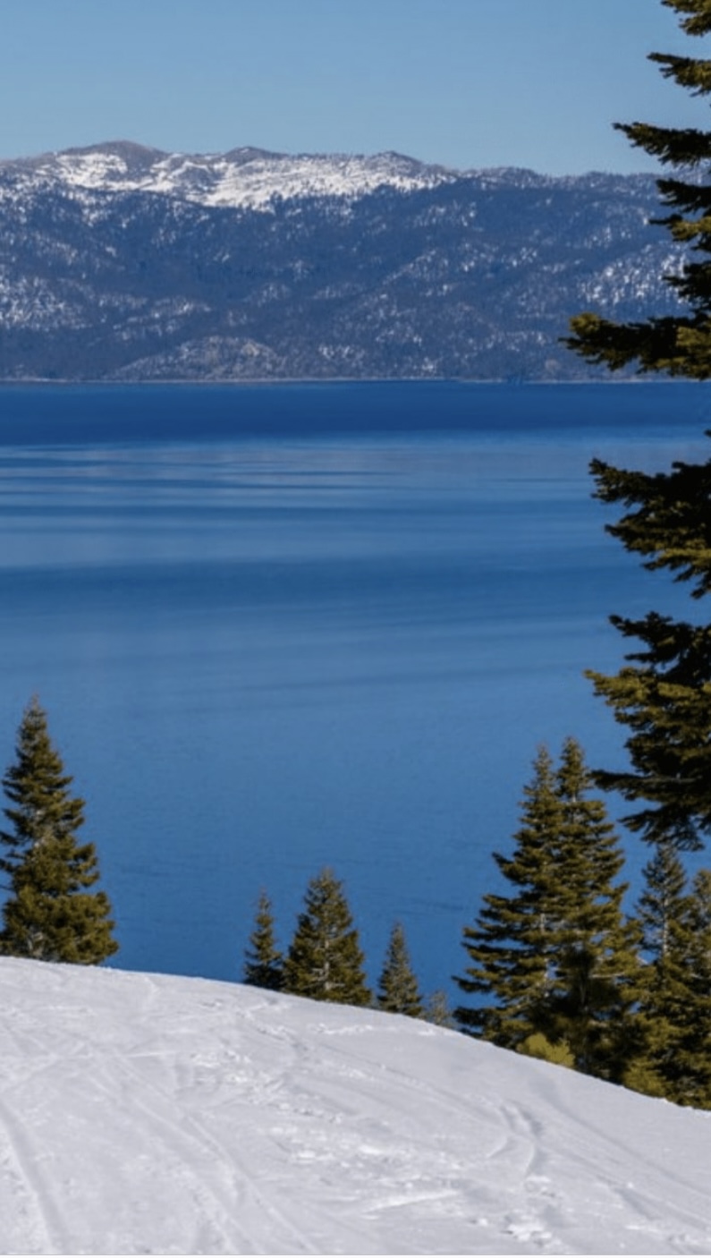 Things To Do Homewood Ski Resort